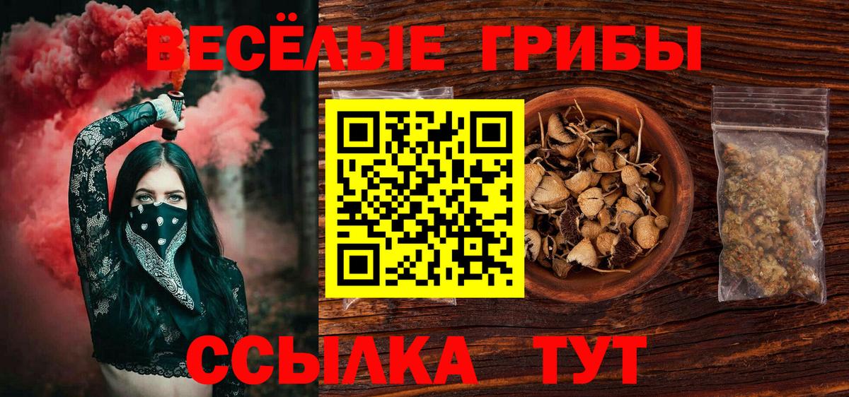 Псилоцибиновые грибы Psilocybine cubensis Октябрьский