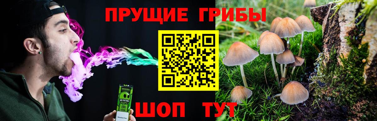 Октябрьский  Псилоцибиновые грибы Psilocybe  Псилоцибиновые грибы прущие грибы  Вход с VPN 